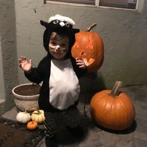 Skunk Halloween Costume 12-18mo